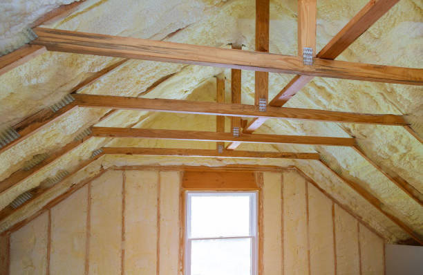 Best Insulation Removal  in Kootenai, ID