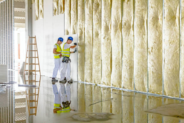 Best Insulation Contractor Near Me  in Kootenai, ID